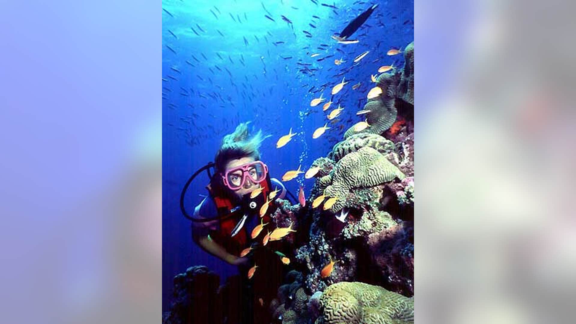 Rediscovering Our Natural Wonders