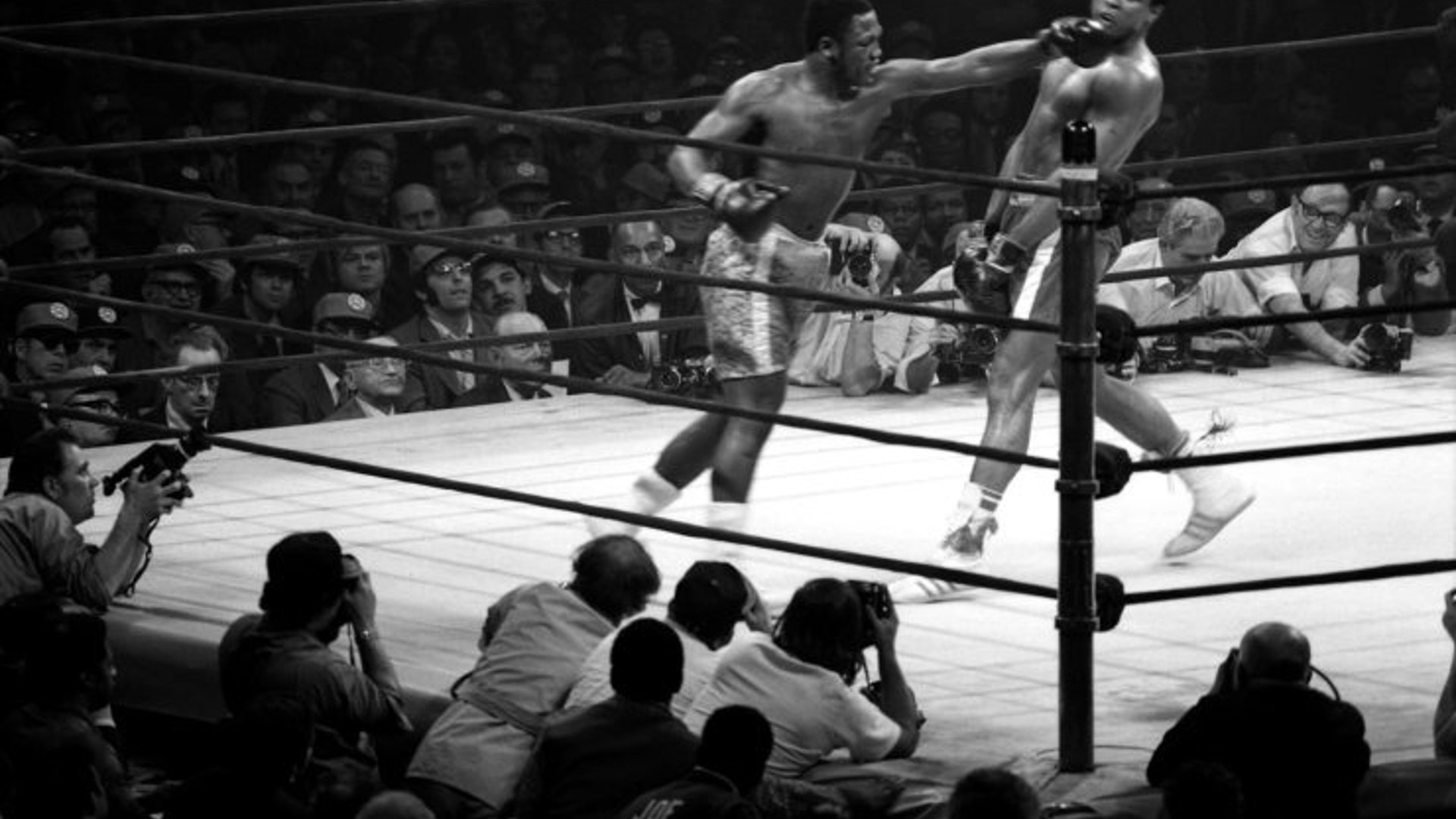 Fight of the Century