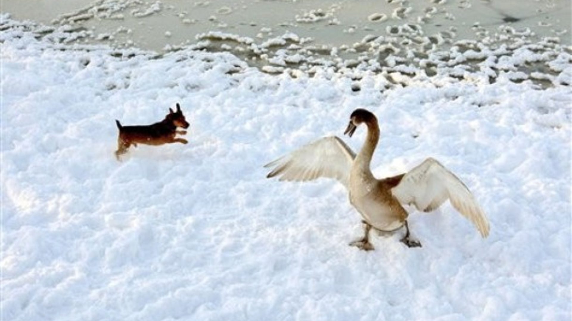 England Engulfed in Snow and Ice
