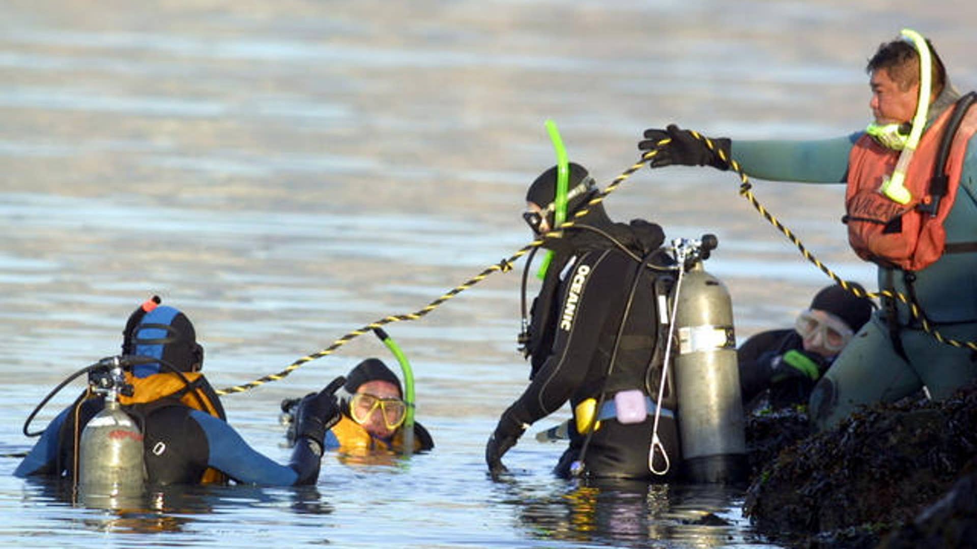 searching_for_laci_peterson