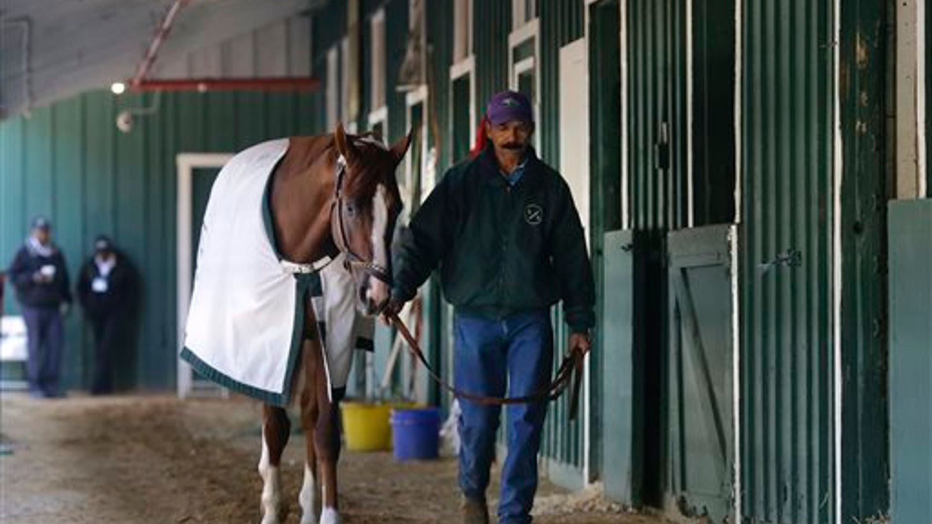 California_Chrome_6