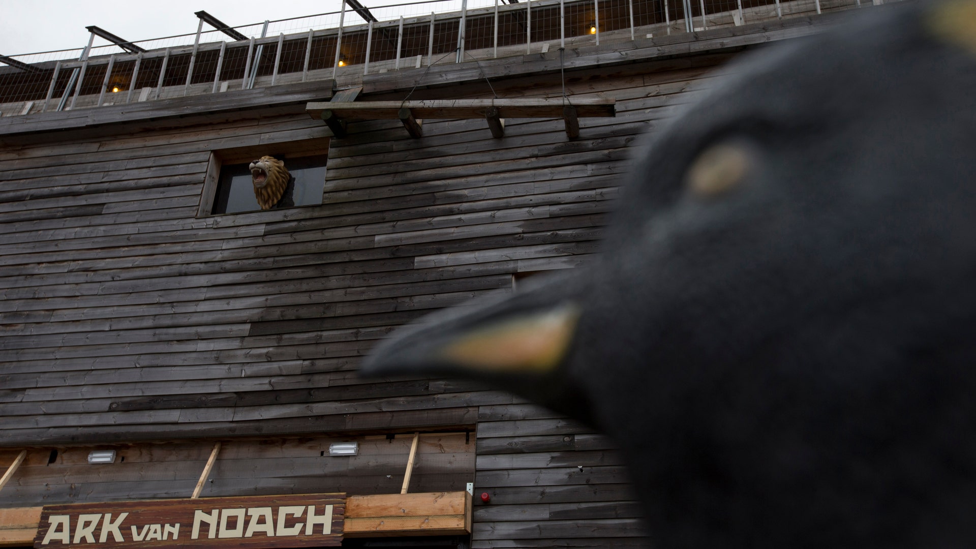 03_noahs_ark_penguin