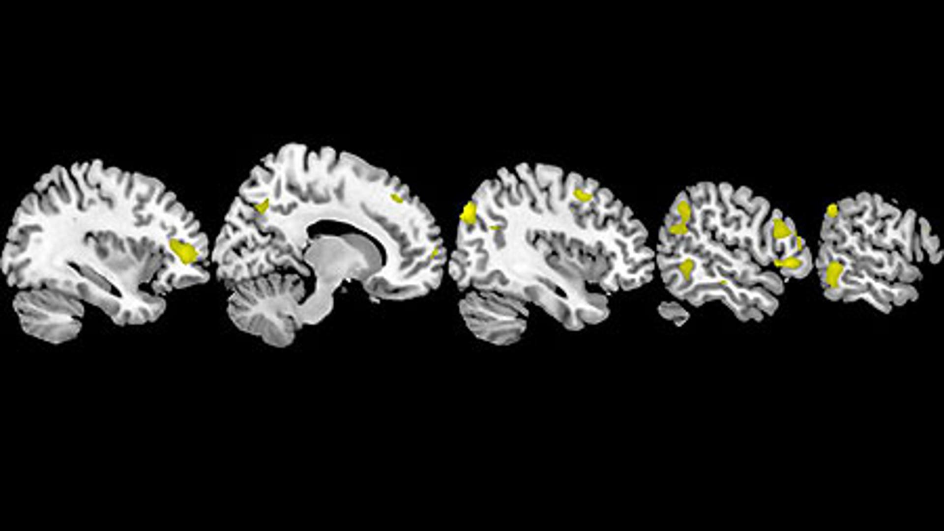 TOP SCITECH NEWS PHOTOS 