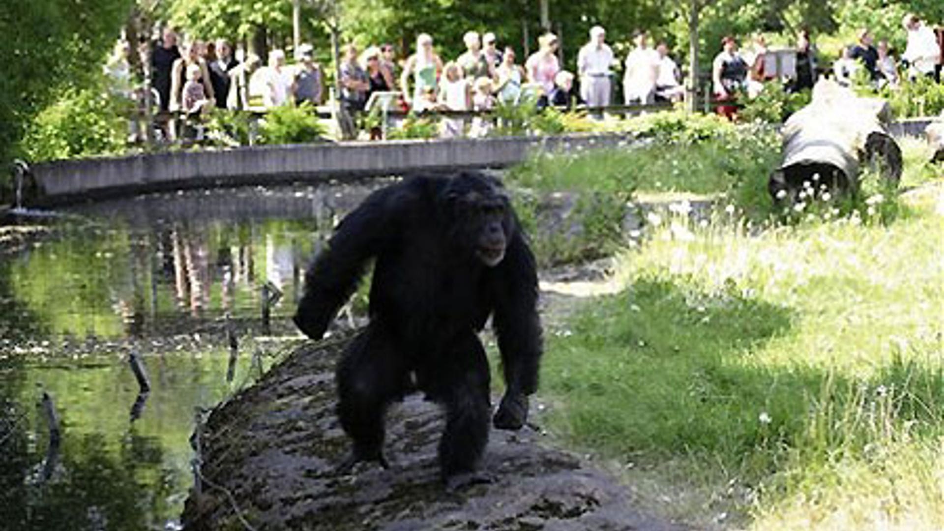 TOP SCITECH NEWS PHOTOS 