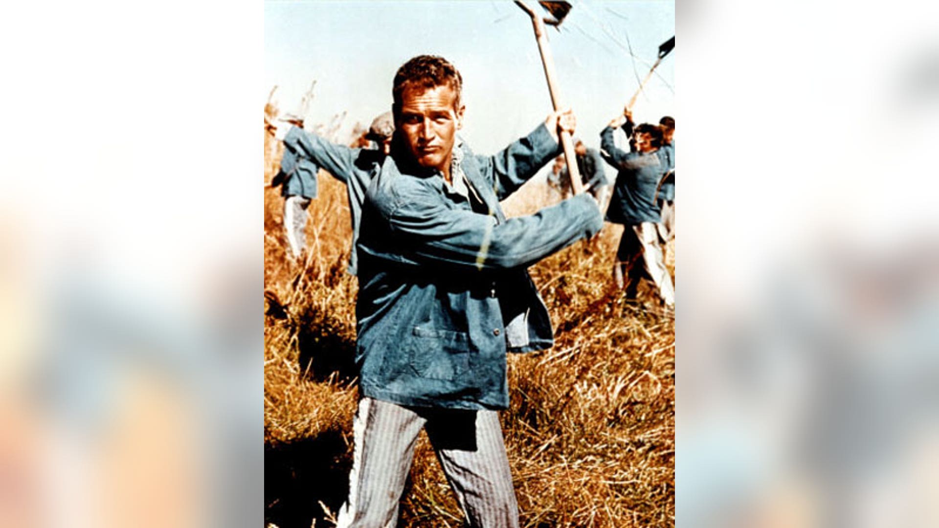 Bernie Madoff's Entertainment Guide