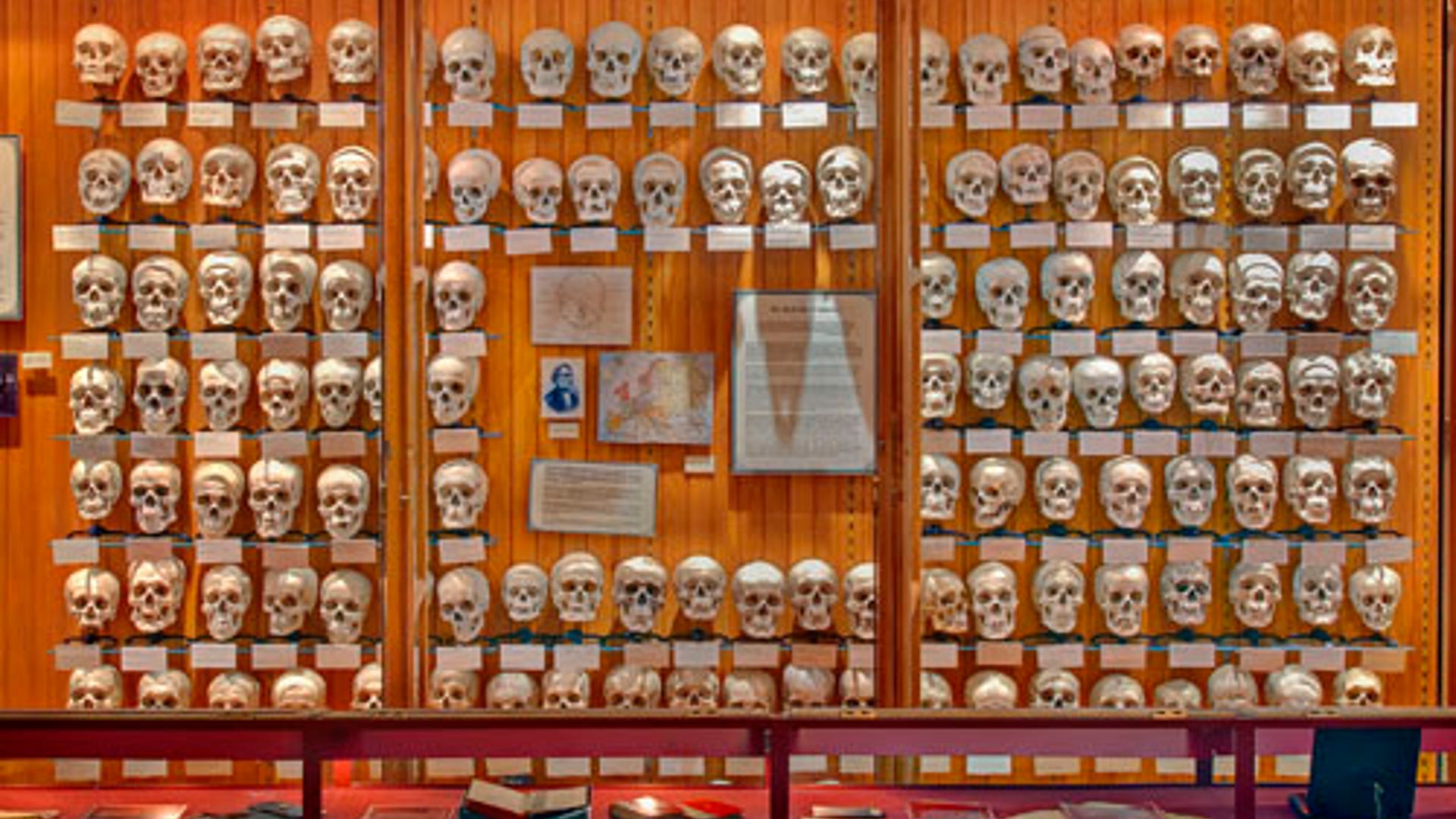 The Mütter Museum