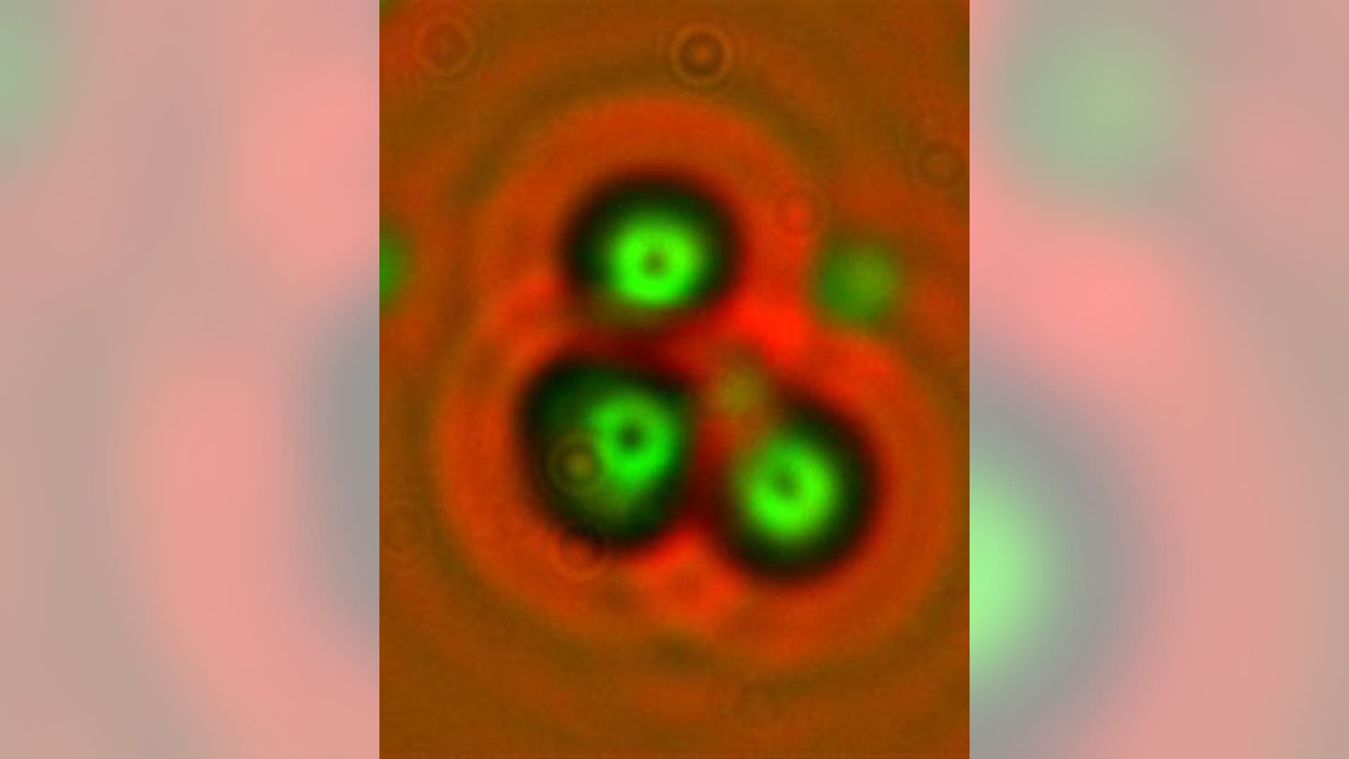 TOP SCITECH NEWS PHOTOS 