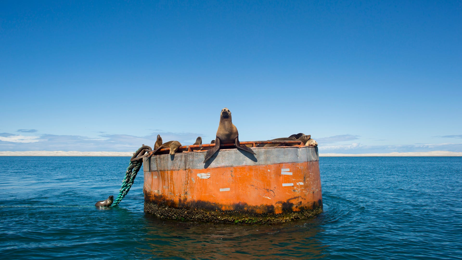 Mexico_Baja_Tourism__3_