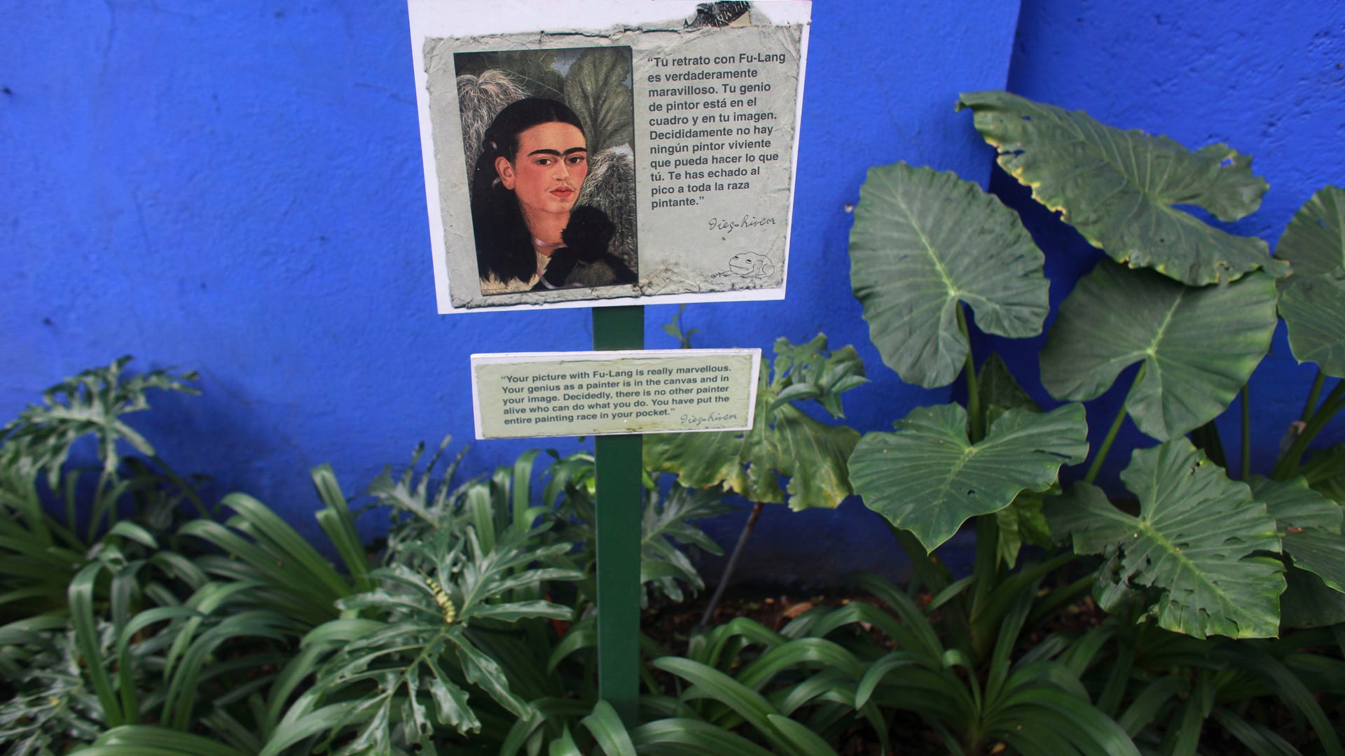 Mexico_Frida_Fashion_13