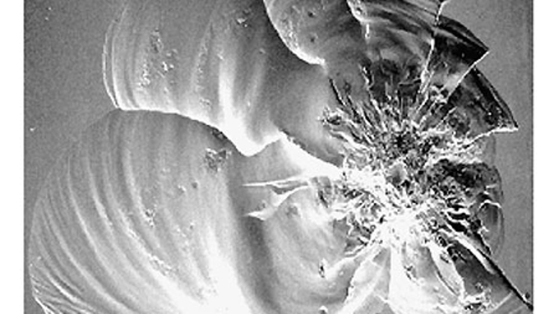 FortyFour Years of Space Junk Fox News