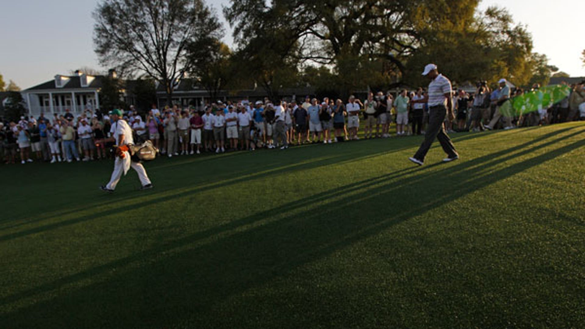 Tiger Hits the Links