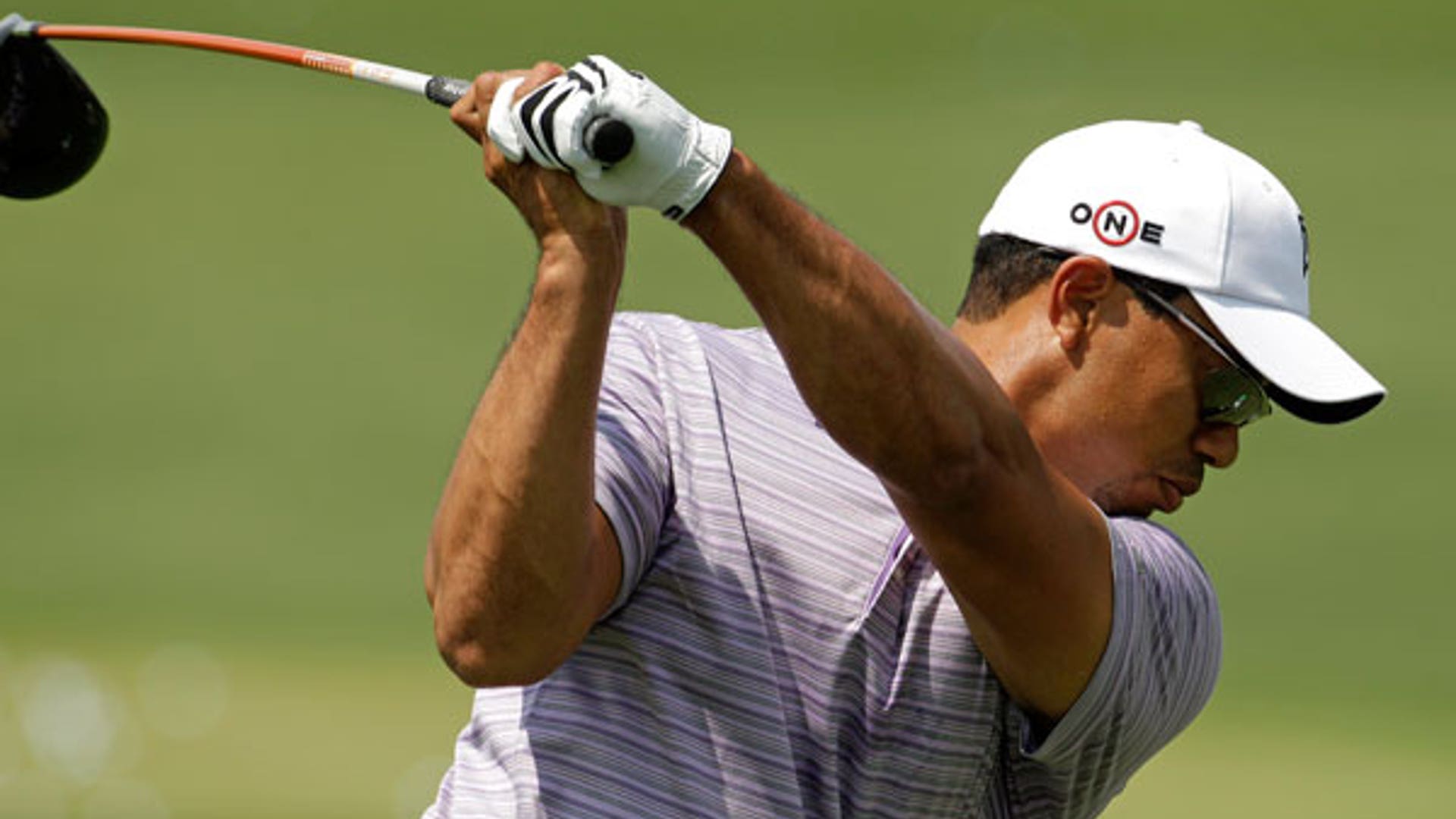 Tiger Hits the Links