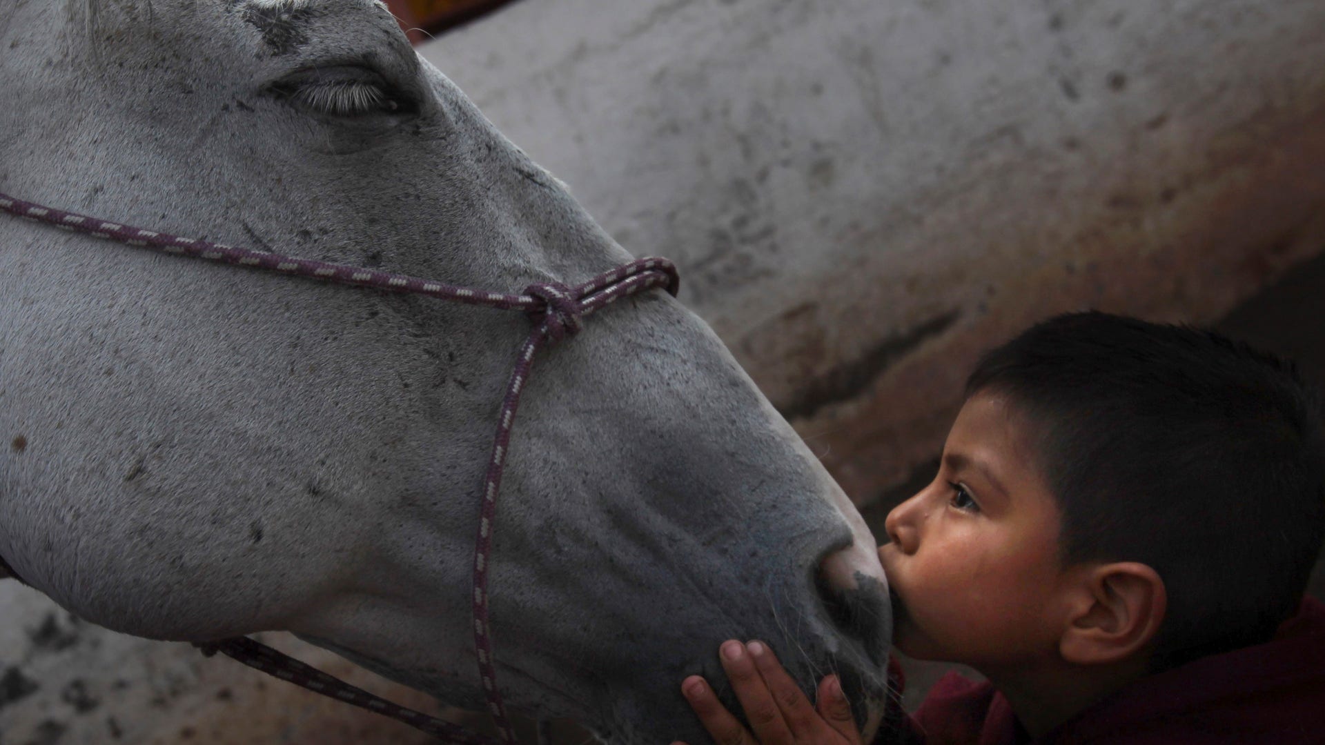 Mexico_Charro_Culture__18_