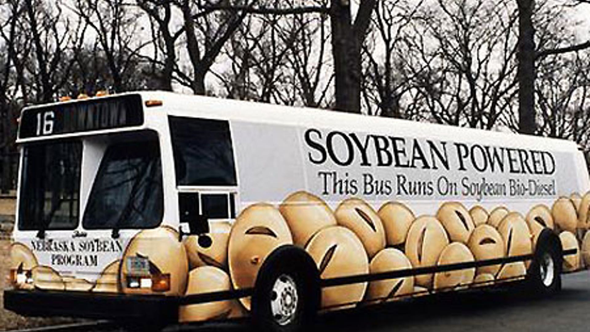 Biodiesel Everywhere