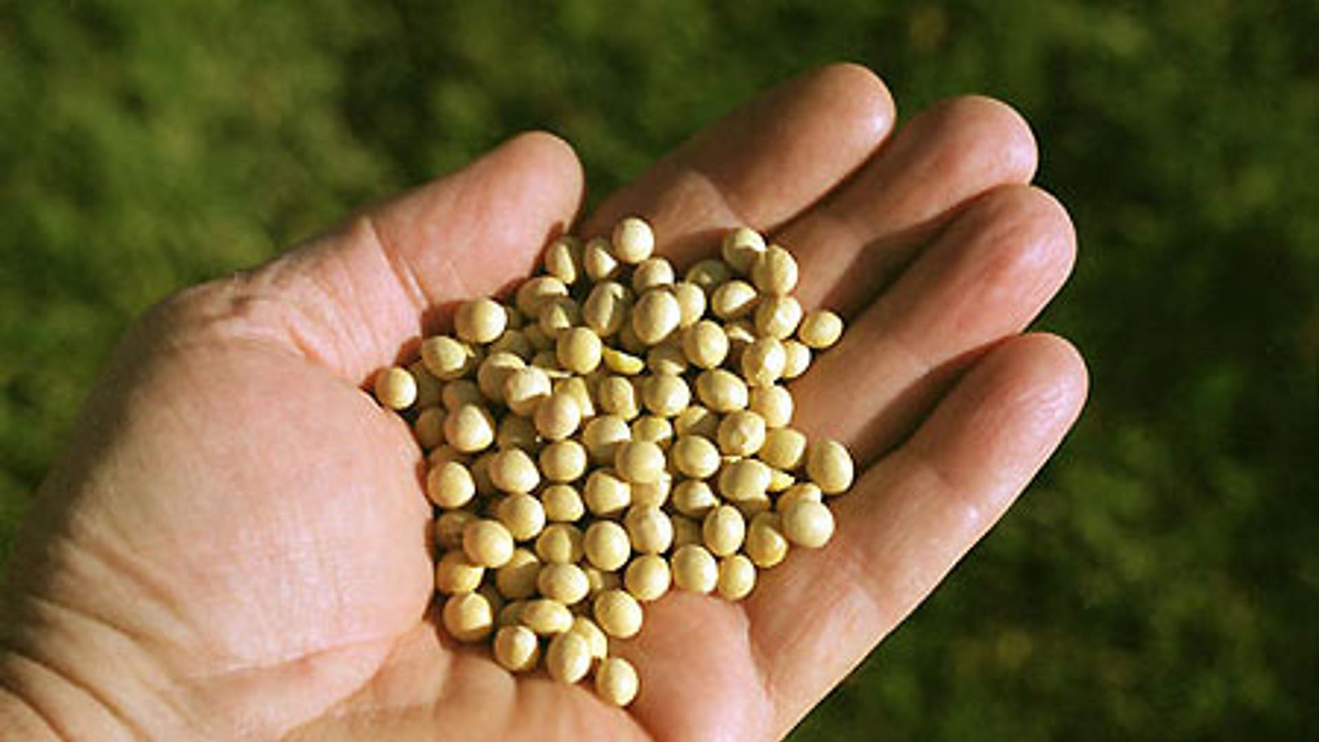 Biodiesel Everywhere