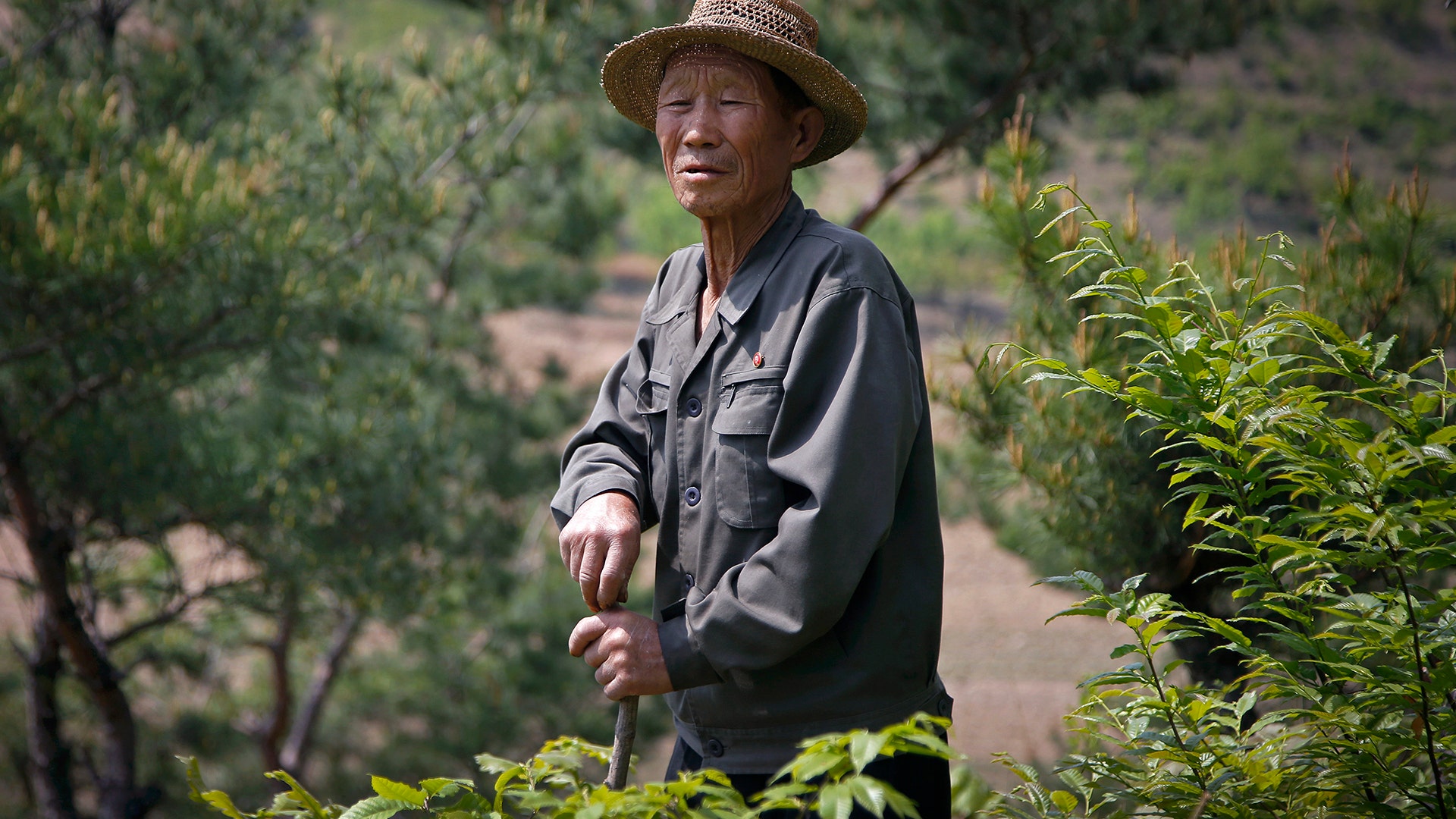 Village elder Kim Ri Jun, 77, poses for a portrait on Ryongyon-ri hill in Kujang county, North Korea, May 8, 2017