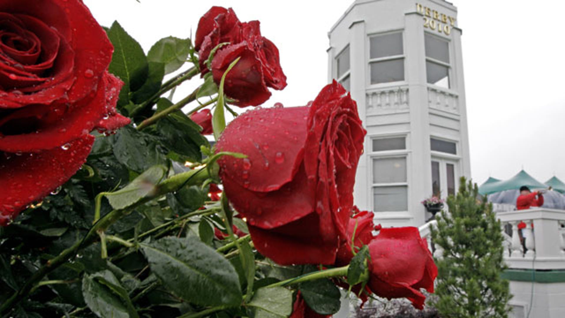 Roses at the 2010 Kentucky Derby
