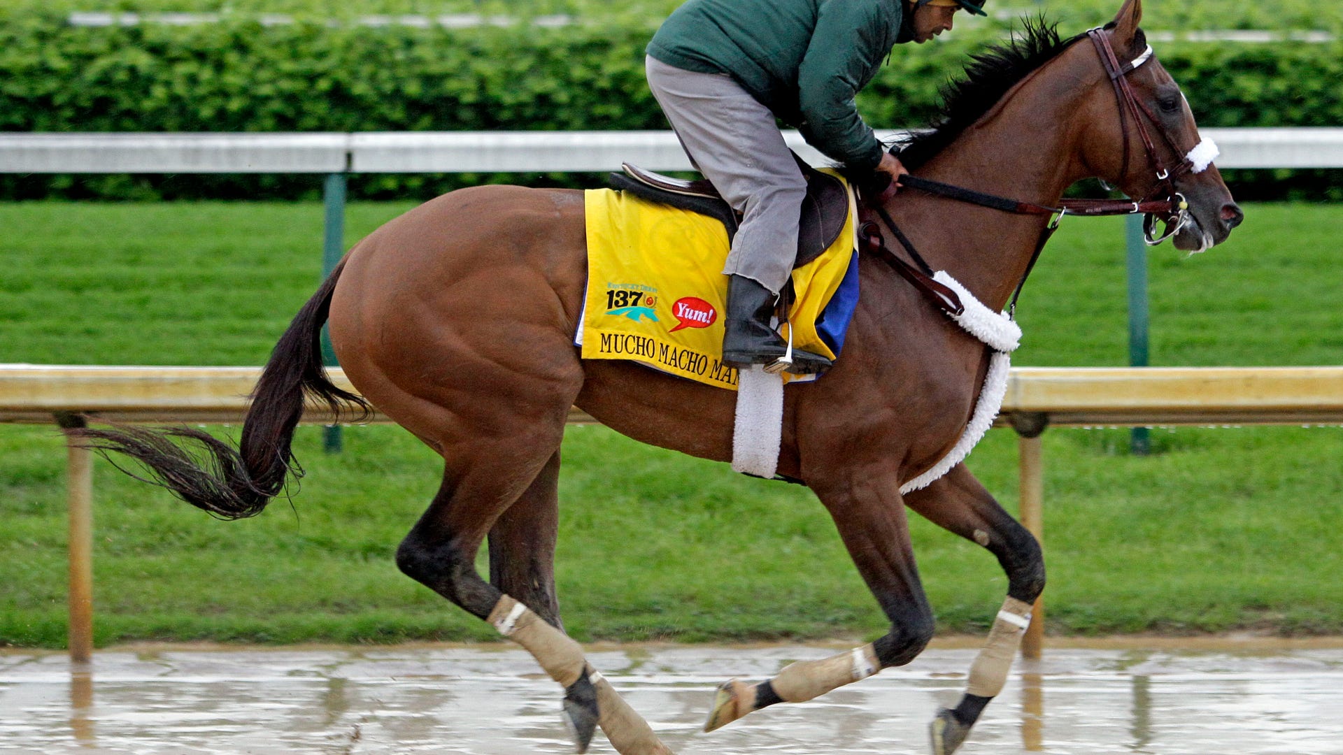 Mucho Macho Man