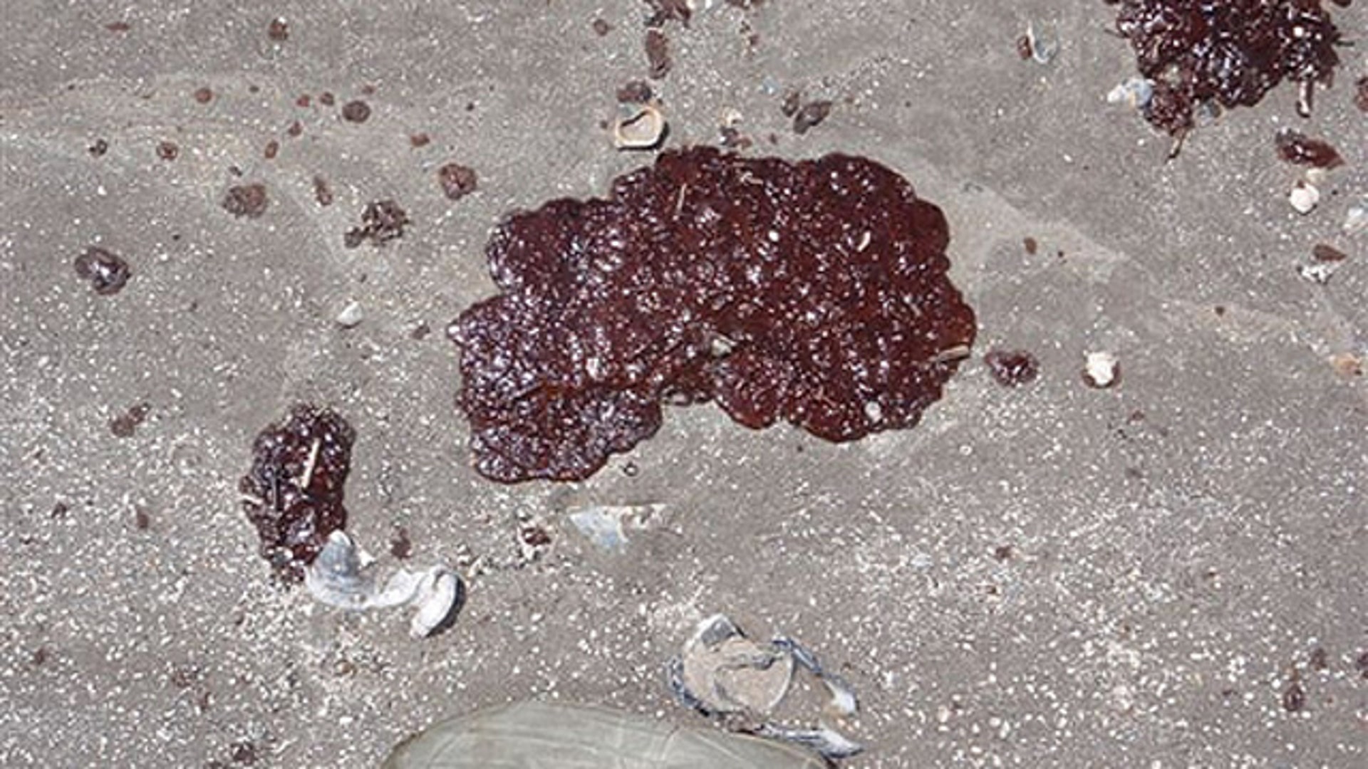 Oil Globs Wash Ashore