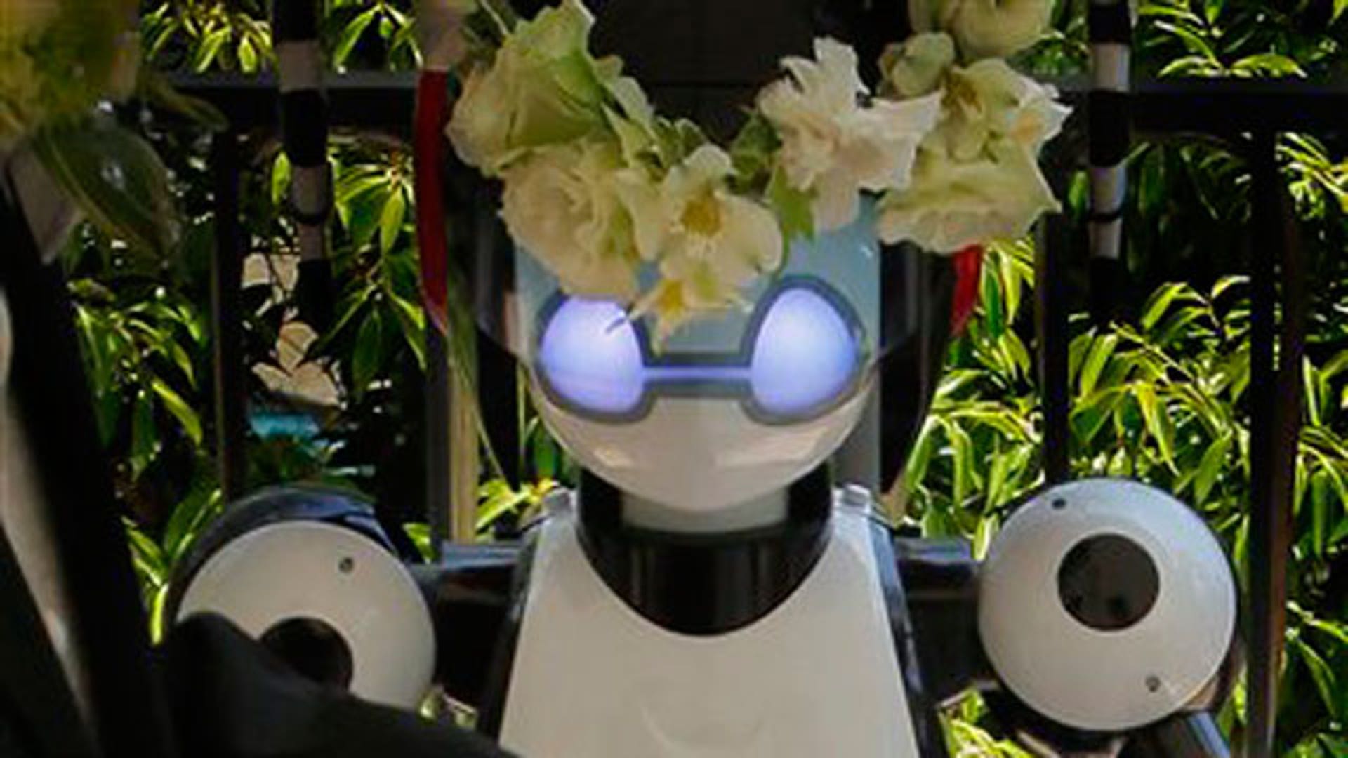 Robot Presides at Wedding