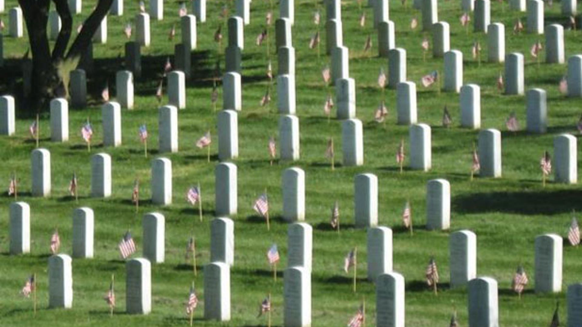 Arlington National Cemetery