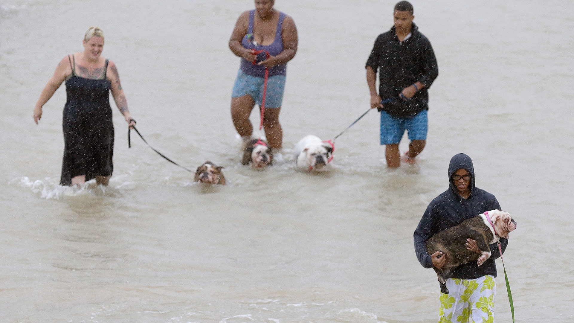 People walk with dogs along a street at the east Sam Houston Tollway in Houston, Texas, Monday