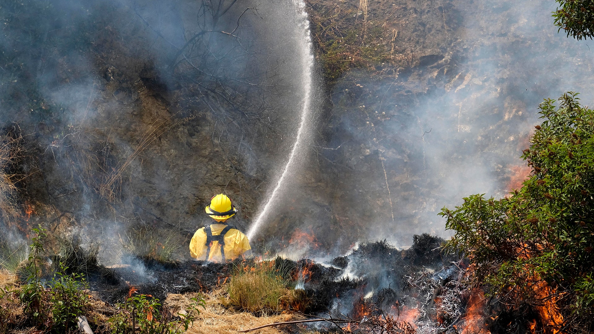 A member with Cal Fire fights a brush fire on a hillside in Burbank, September 2