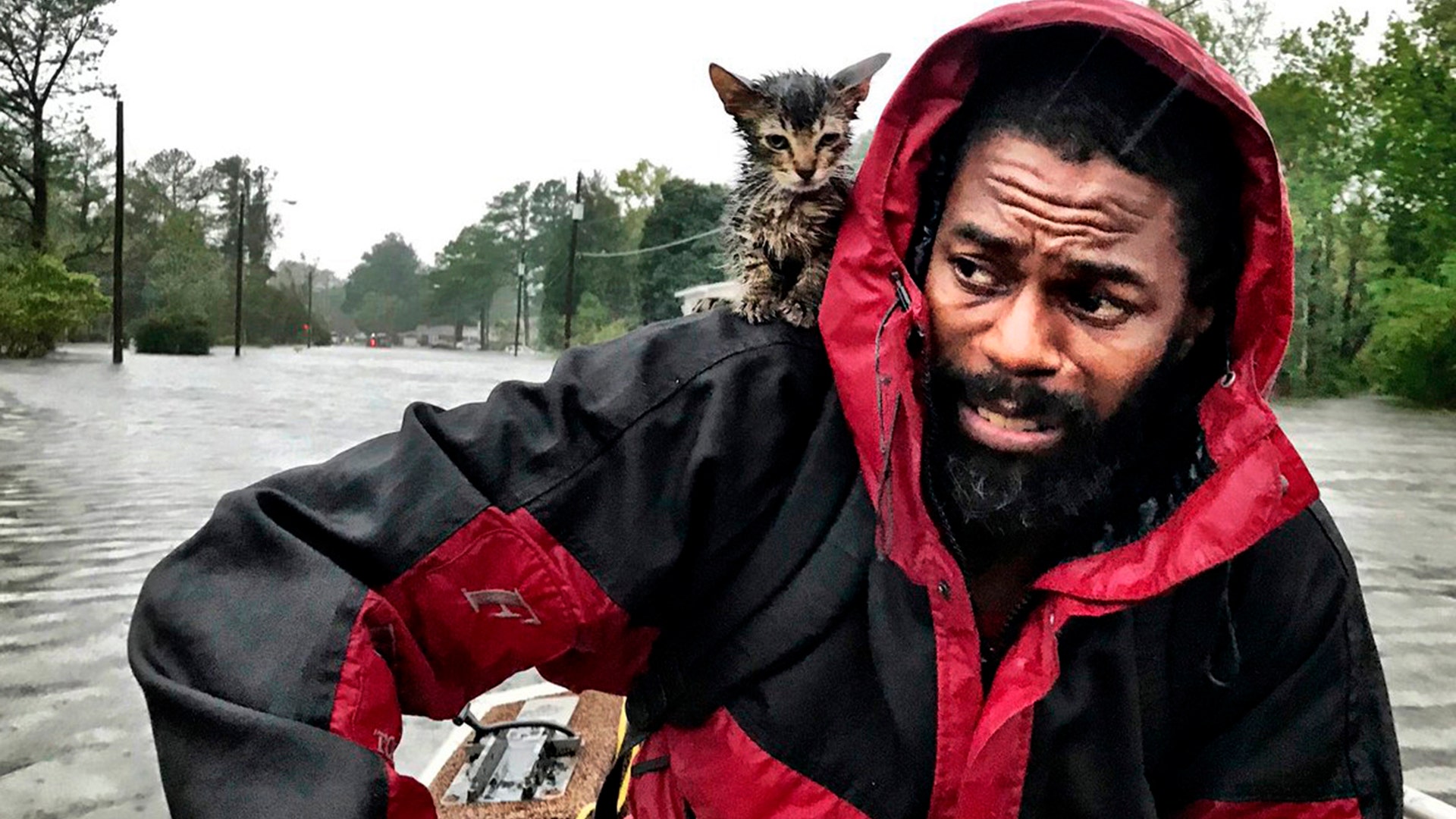 Robert Simmons Jr. and his kitten Survivor are rescued from floodwaters in New Bern, N.C., on Friday.