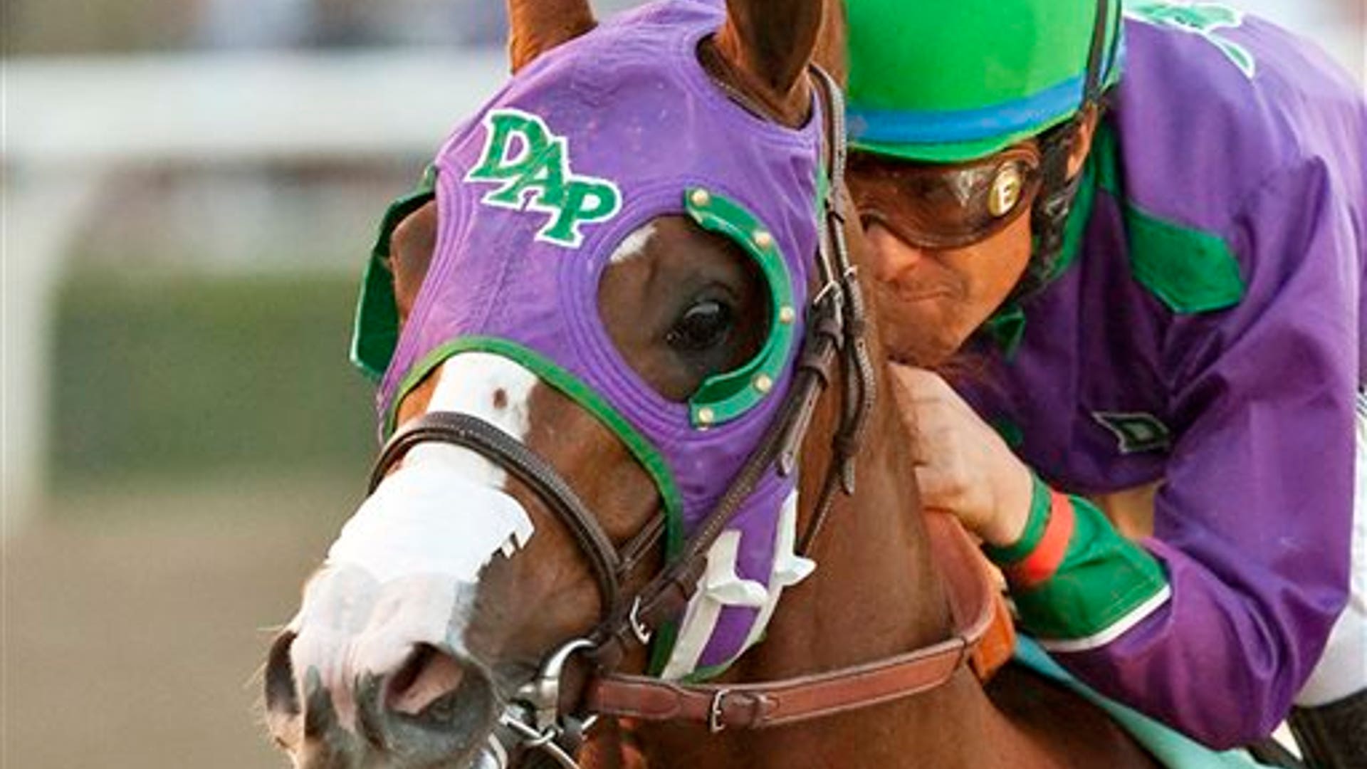 California_Chrome_11