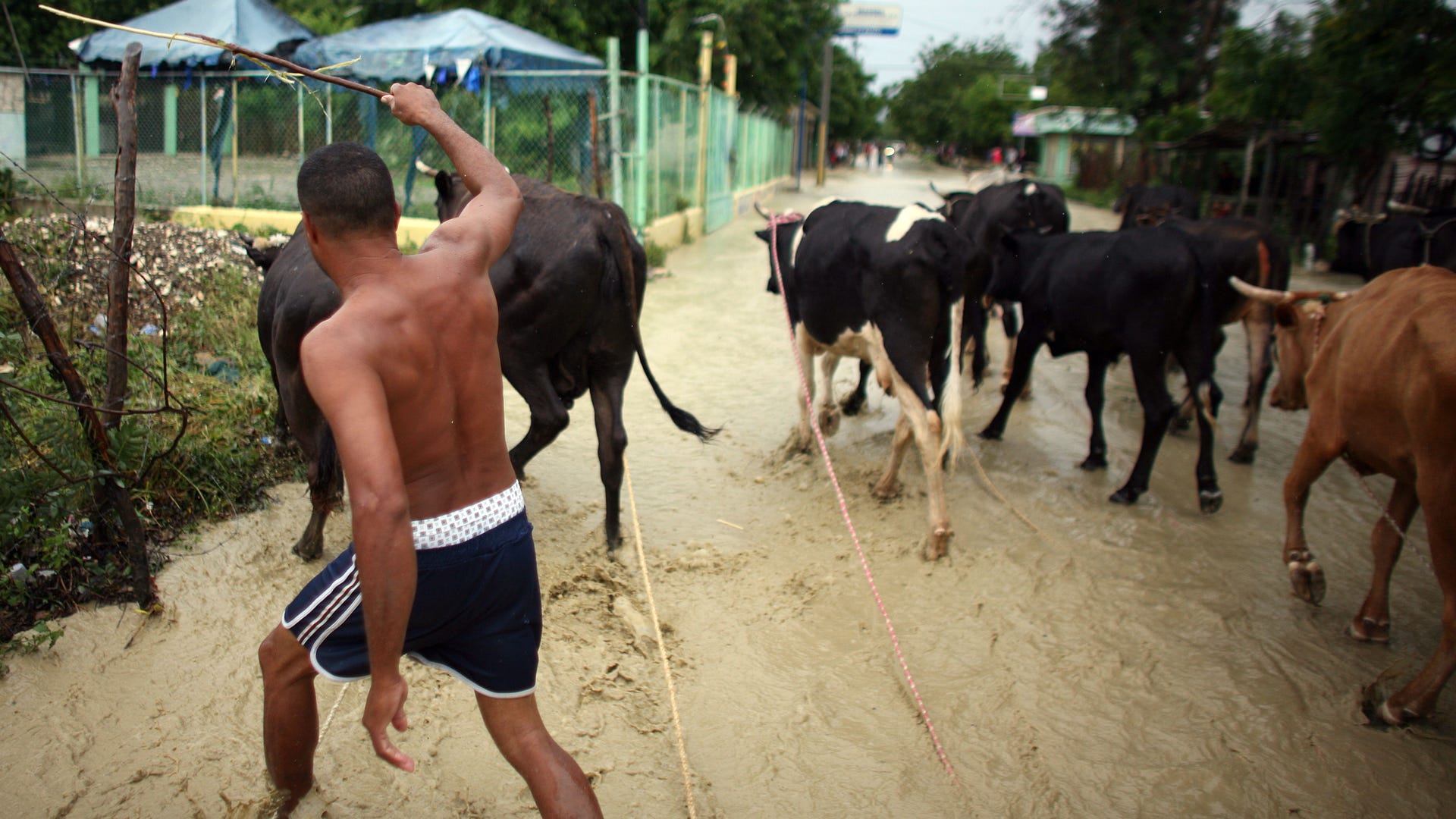 Dominican_Republic_Tr_Grat__4_