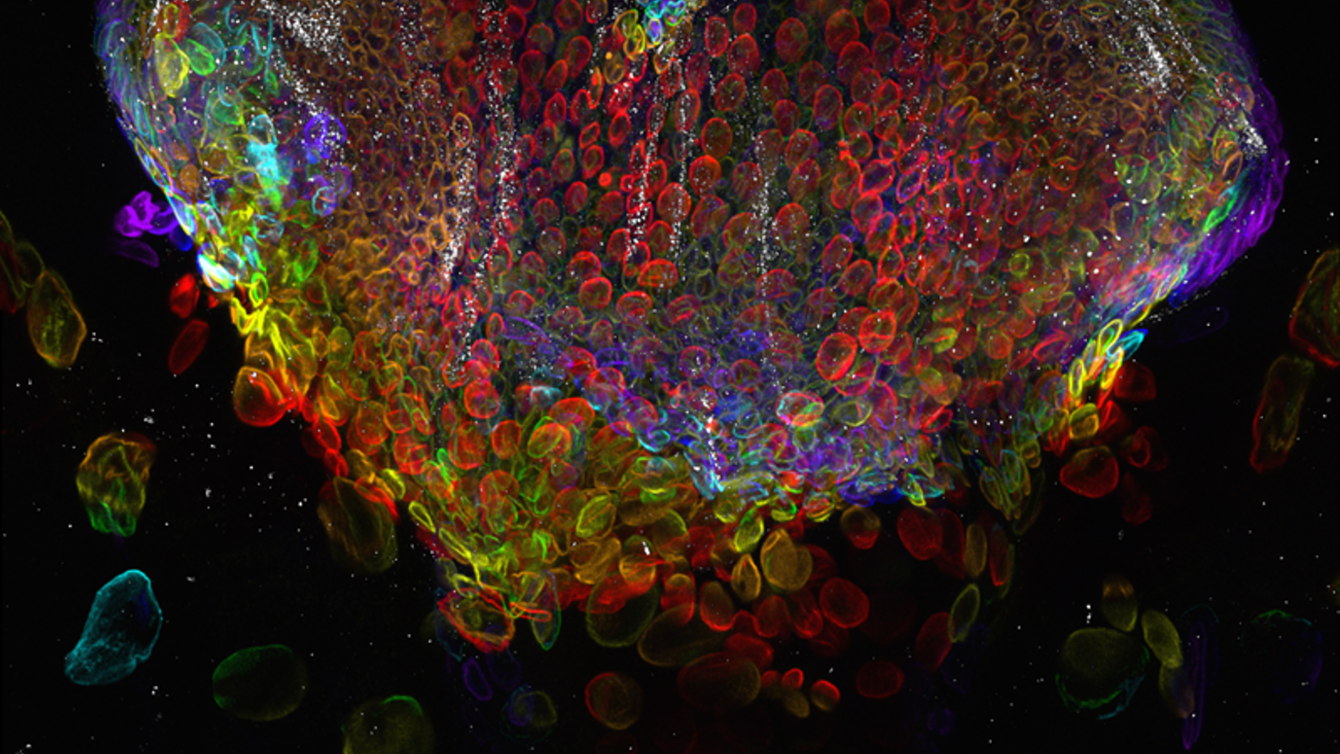 07_Place_22042_2_Bridge_copy