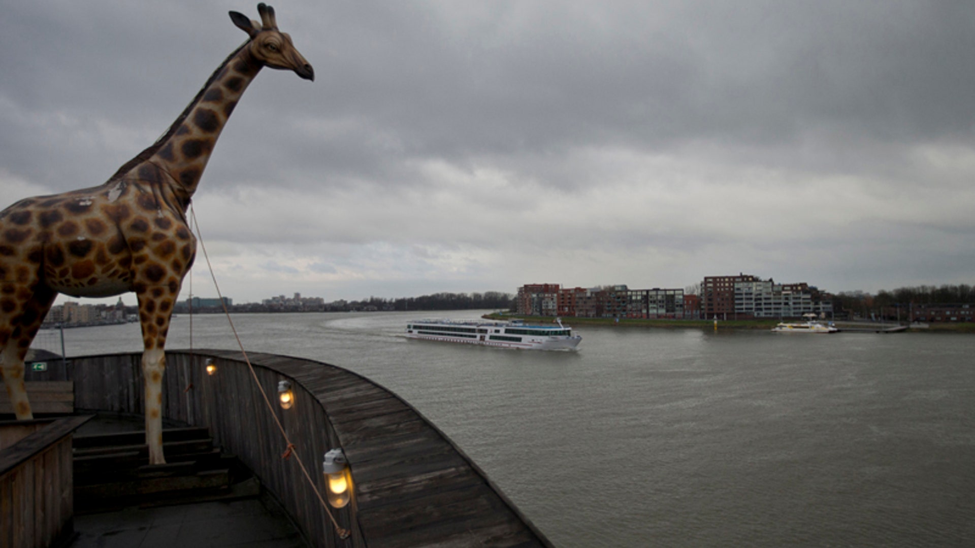 08_noahs_ark_giraffe