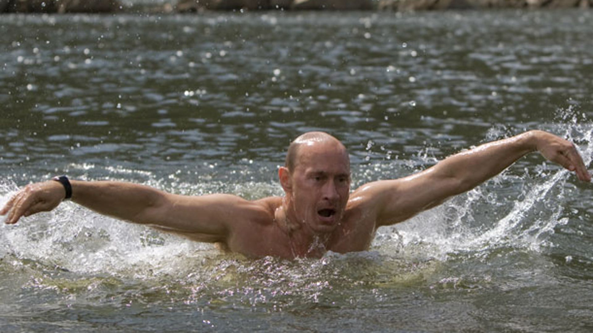 Bare-Chested Butterfly