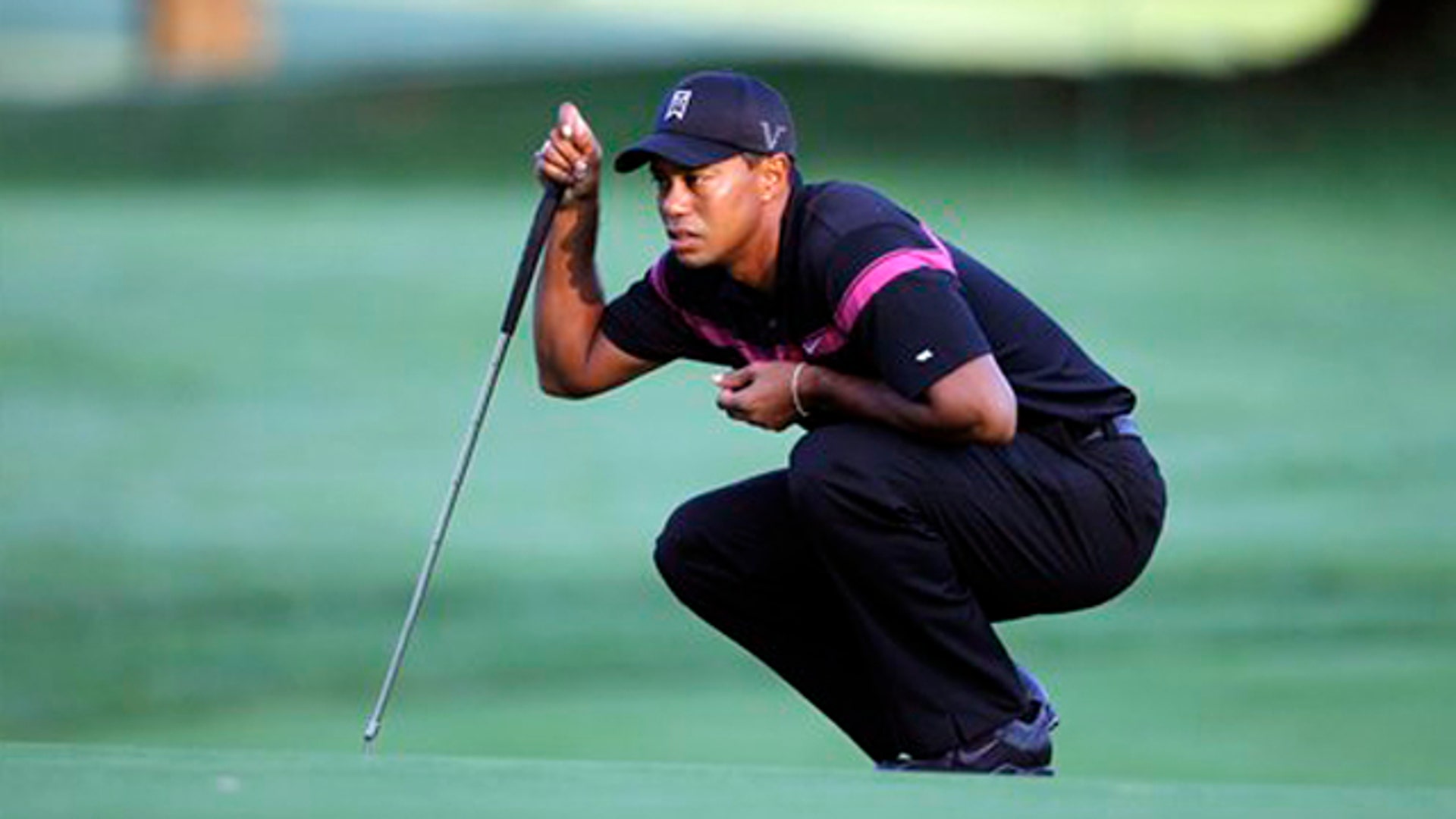 Tiger Lines Up Shot