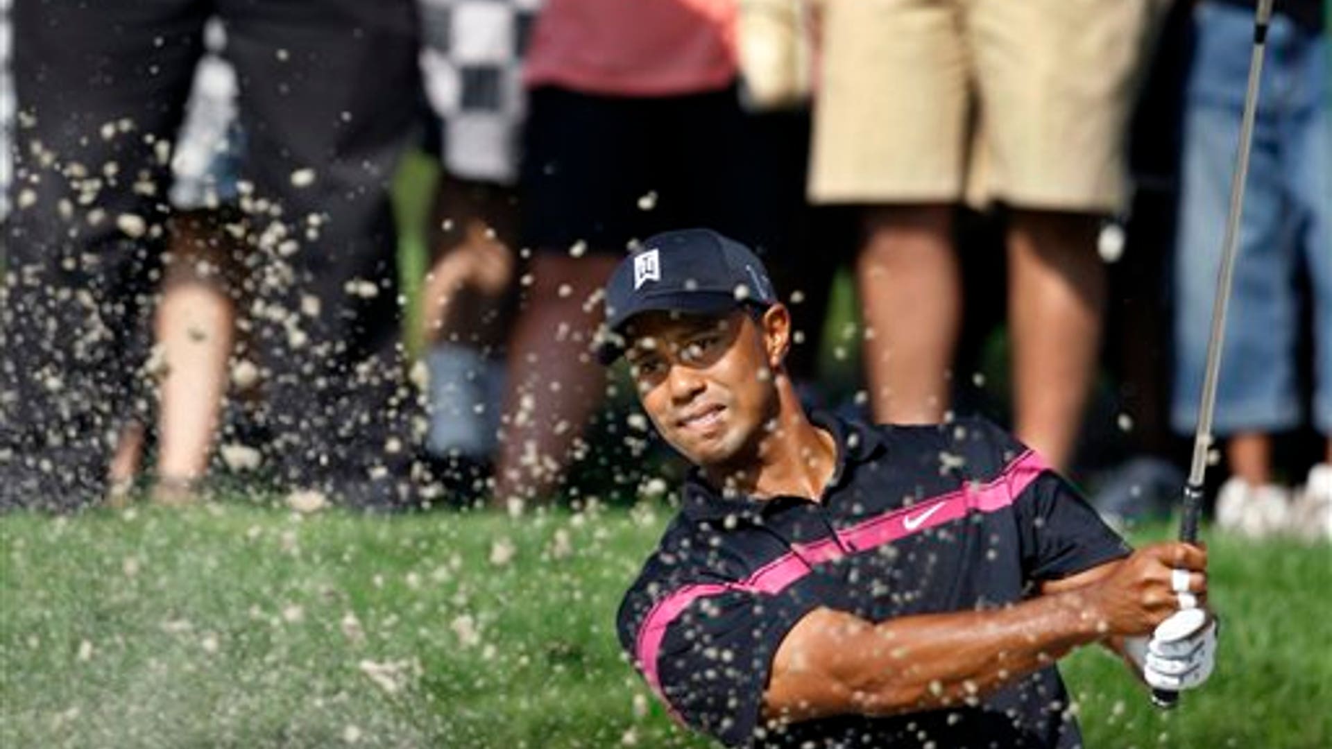 Tiger in the Bunker
