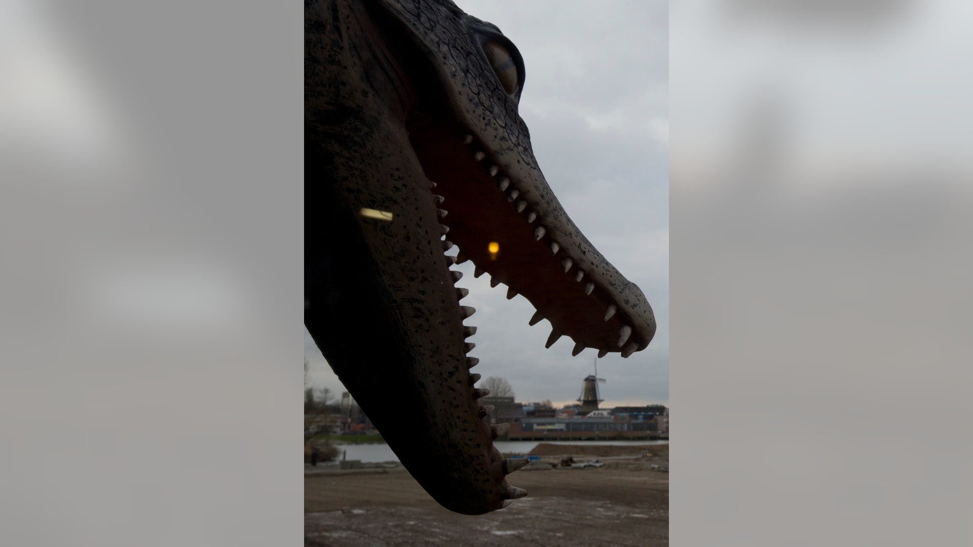09_noahs_ark_croc