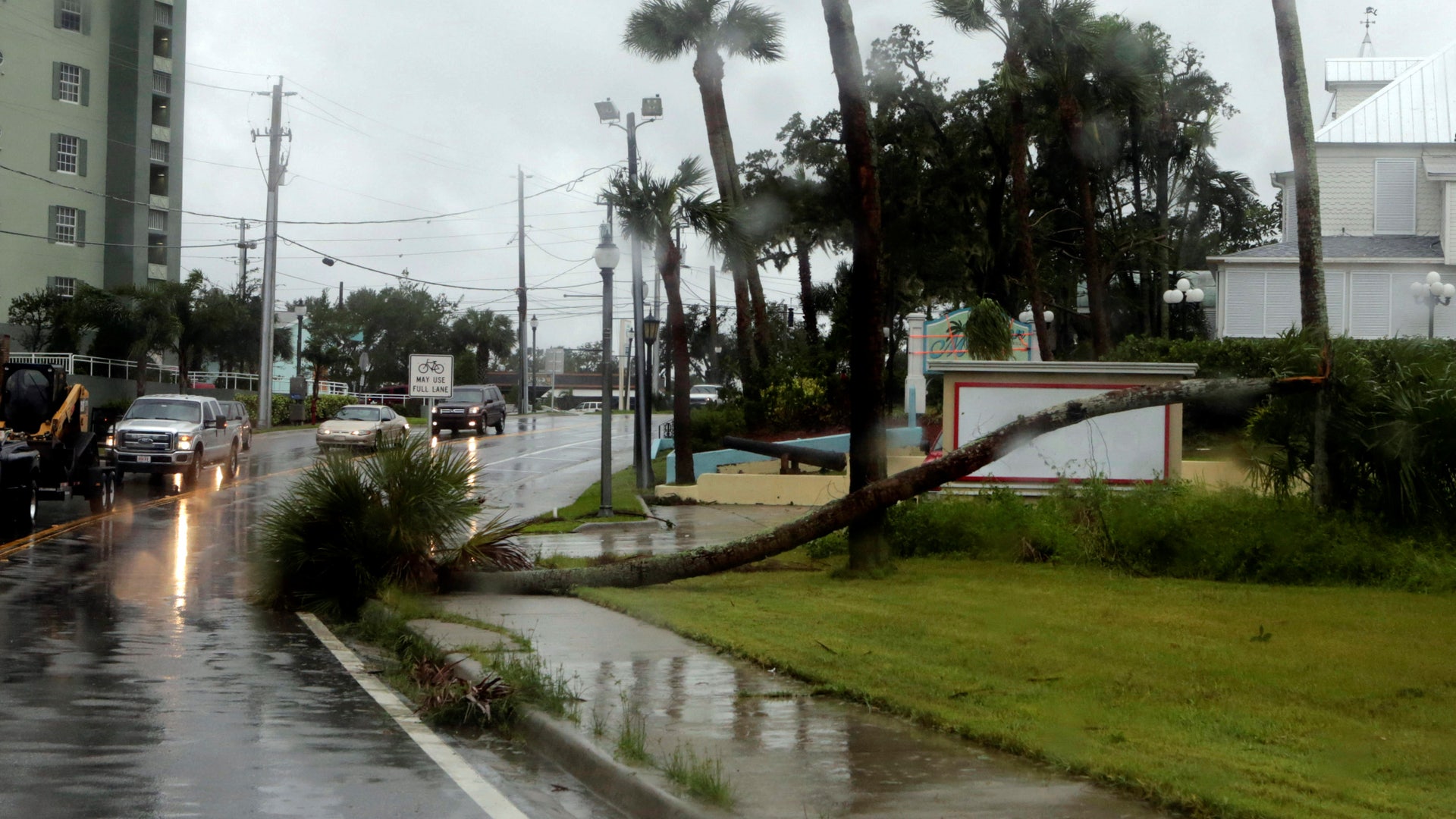 Wild conditions take down tree