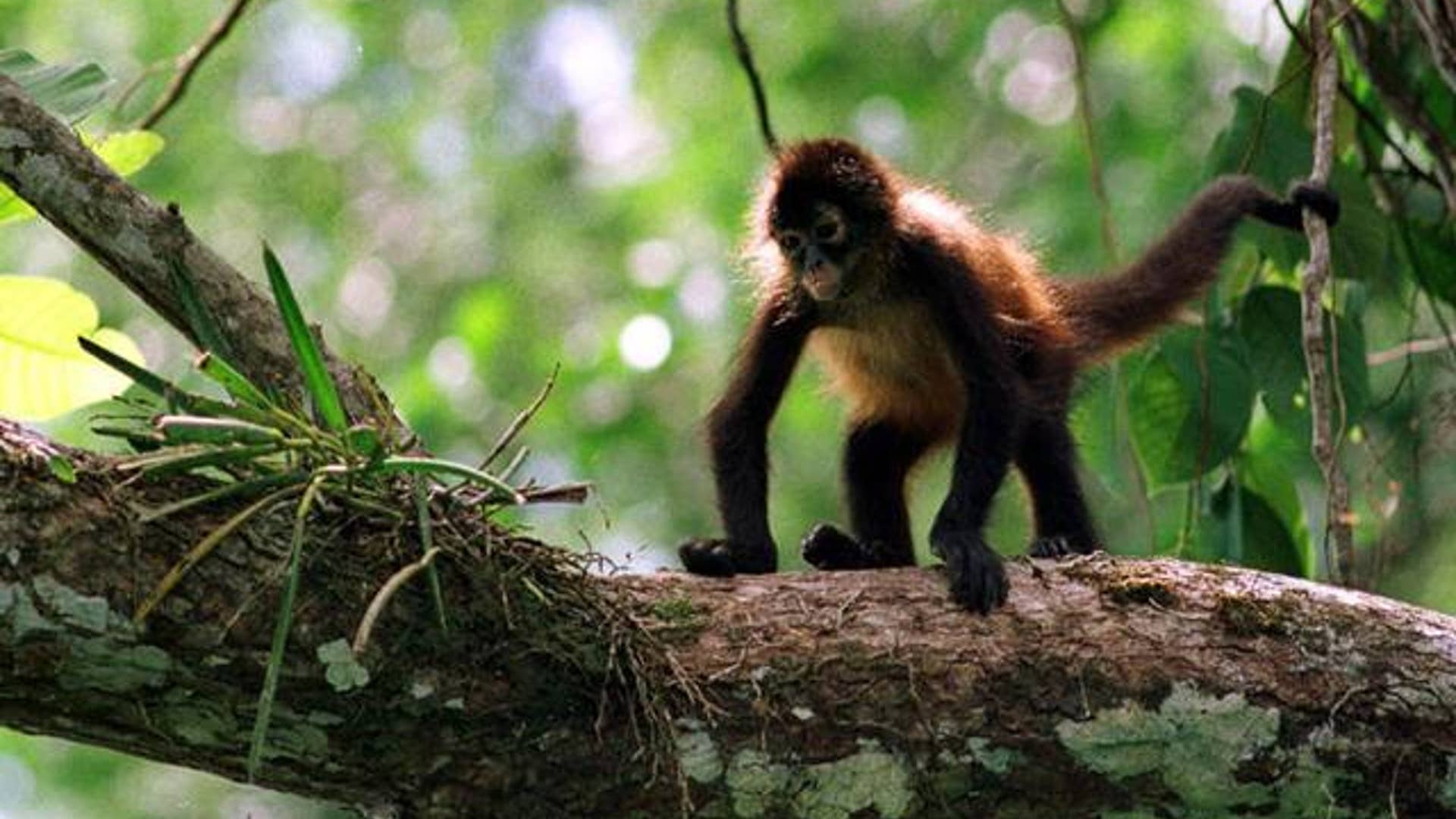 Panama_Canal_100__27_