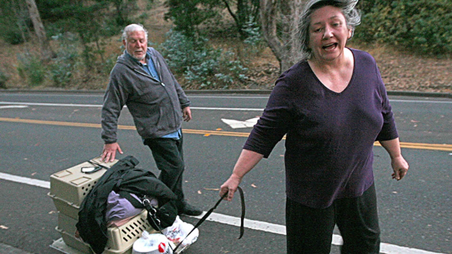 Residents, Pets Flee