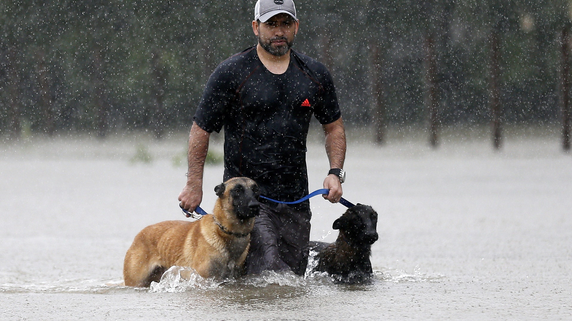 A man and his dogs wade through flood waters from Tropical Storm Harvey in Beaumont Place, Houston, Texas, Monday