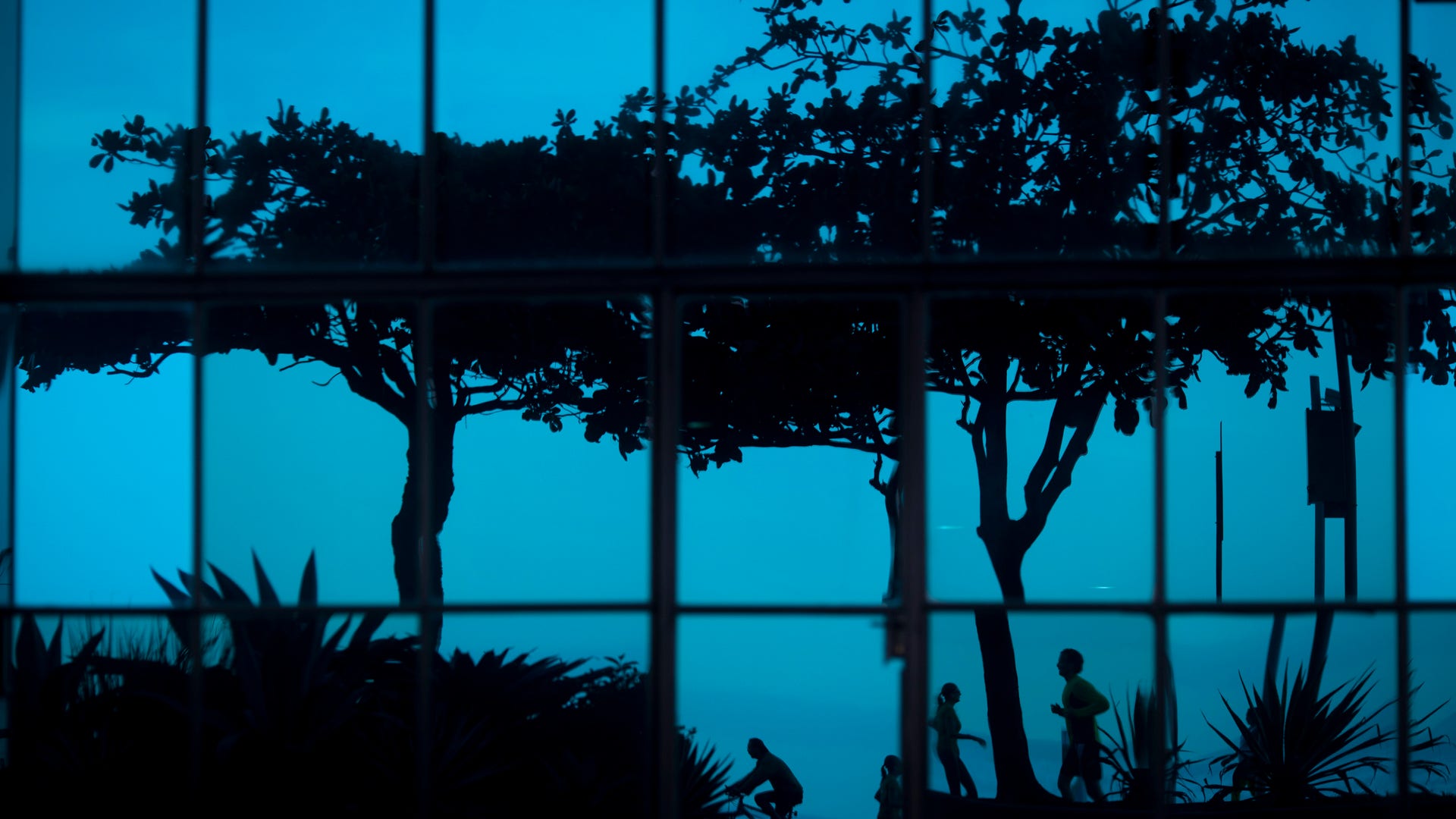 Brazil_Red_Hot_Rio_6