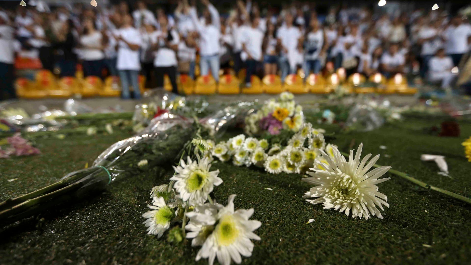 tribute_7_more_tributes