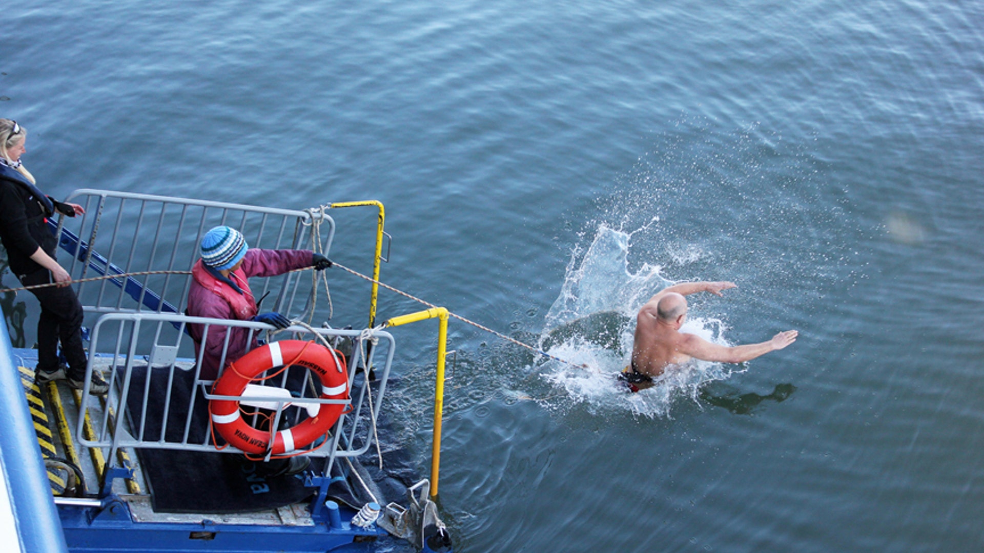 Arctic- Polar plunge