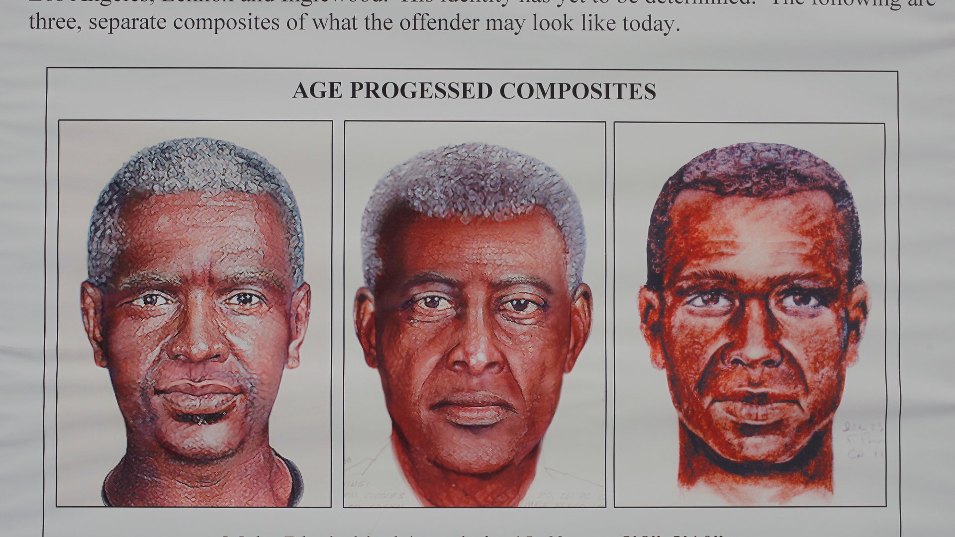 Age Progressed Sketches