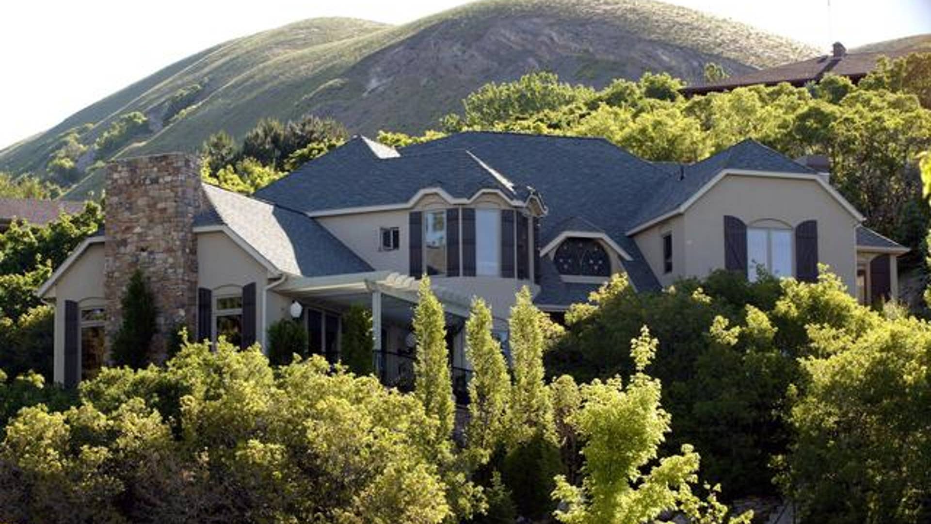 The Elizabeth Smart Saga