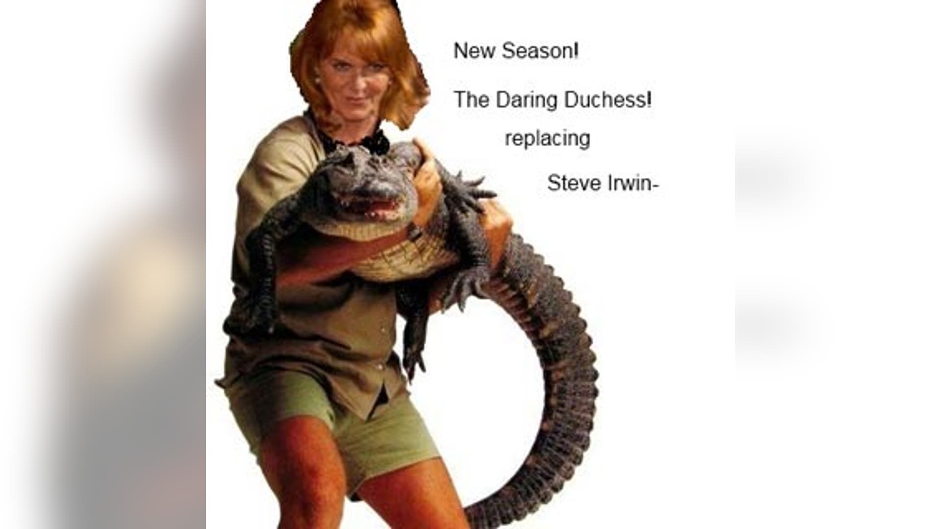 What's Next for Fergie?