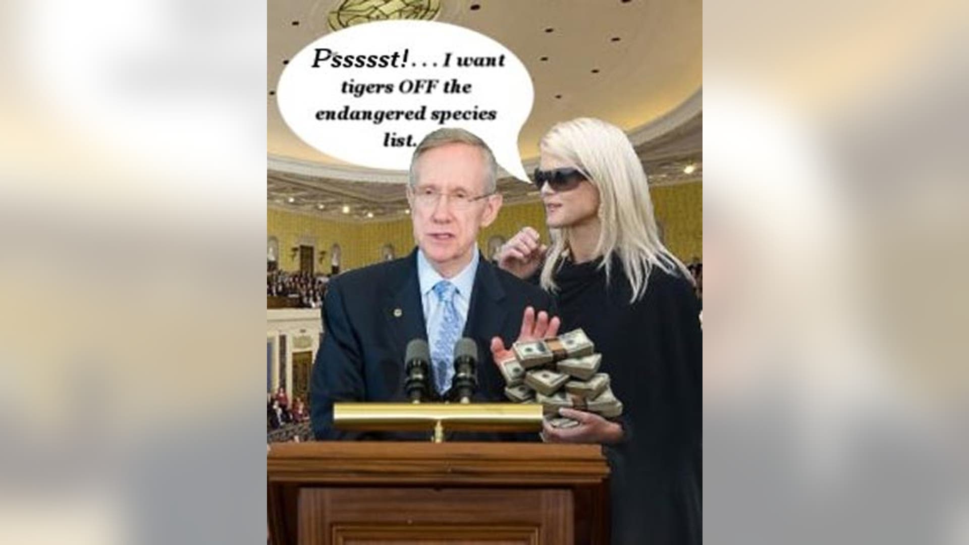 How Elin Should Spend Her Money