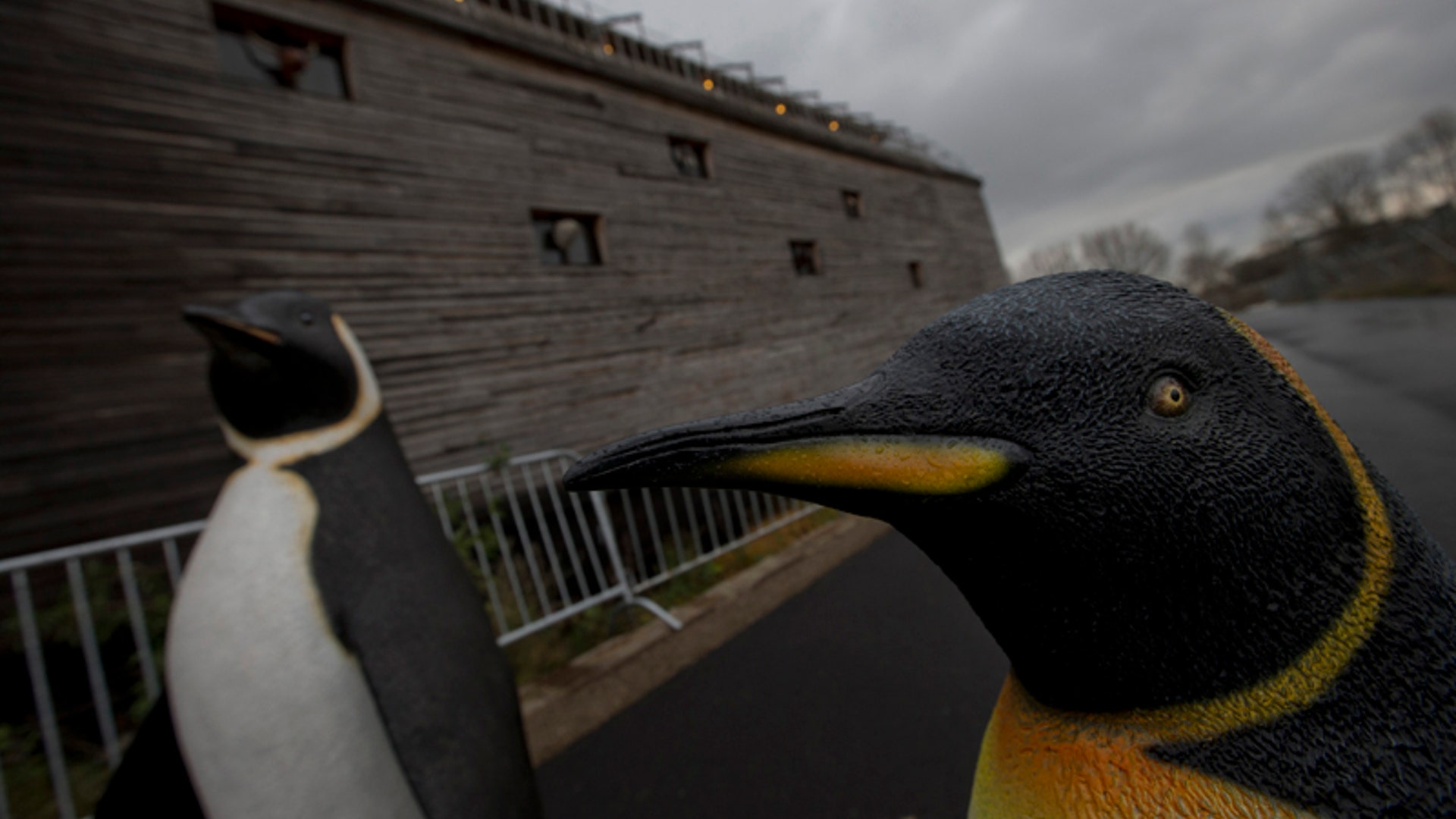 11_noah_s_ark_penguins