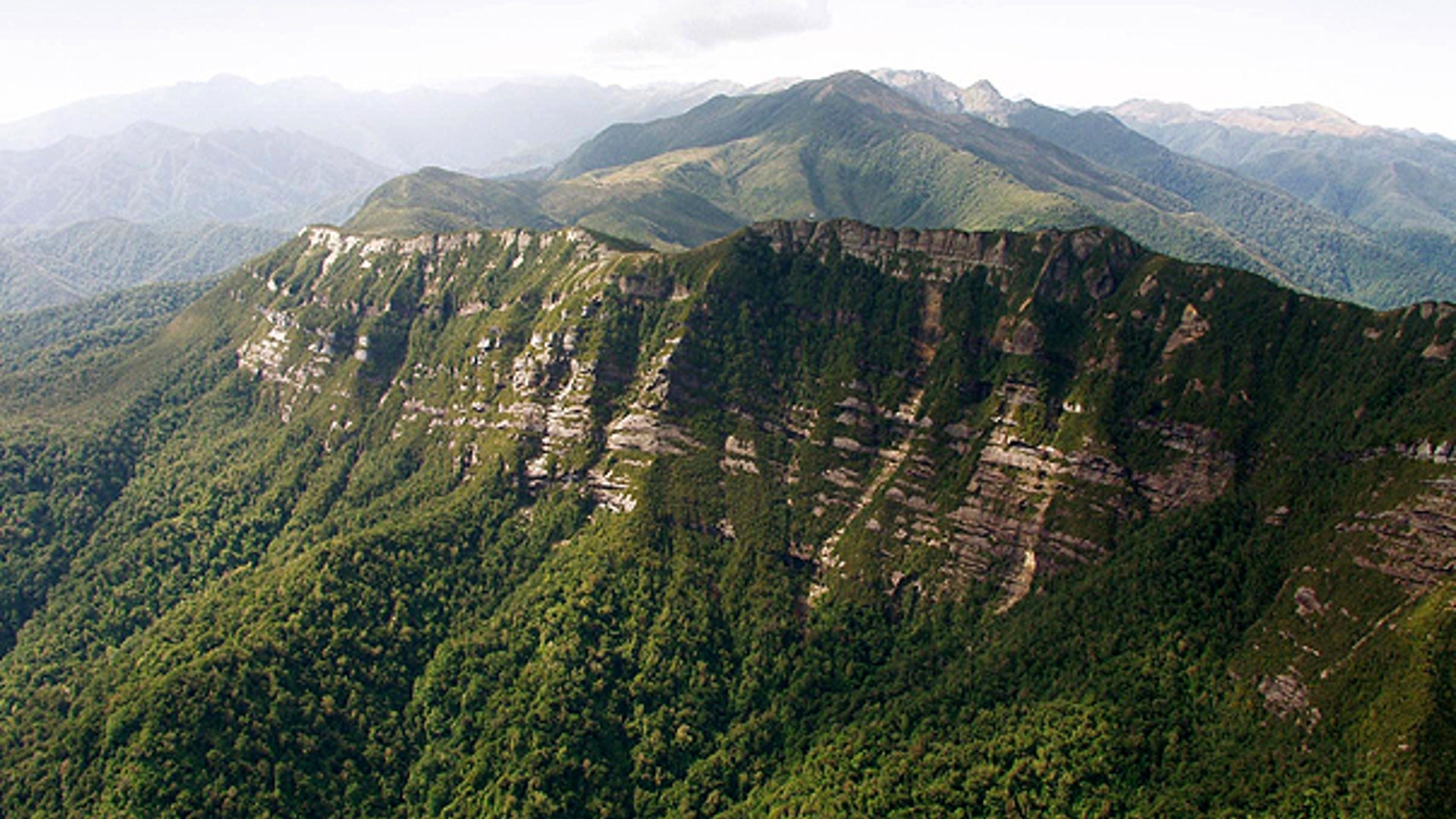 New Zealand Landscape