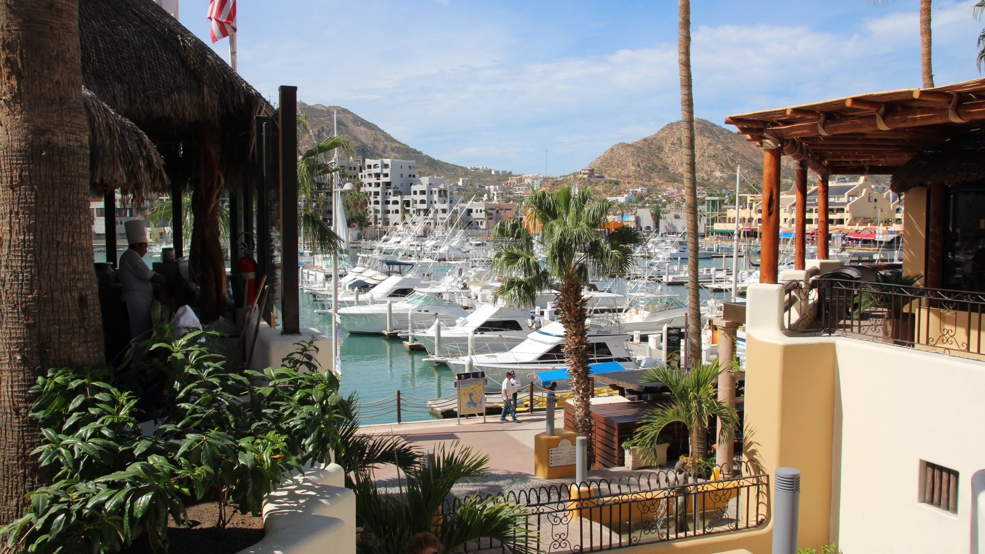 January_2015___Los_Cabos__18_